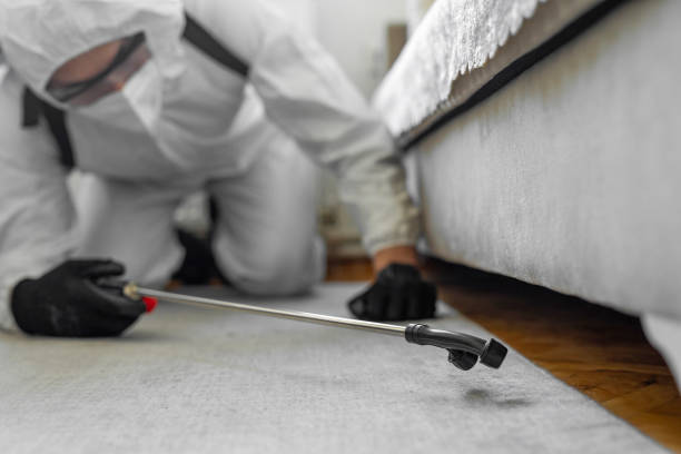 Professional Cockroach Control technician working in Ansonia, CT